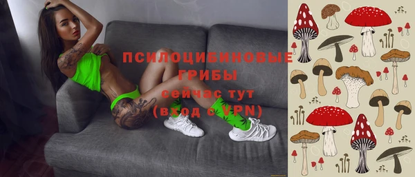 шишки Медвежьегорск