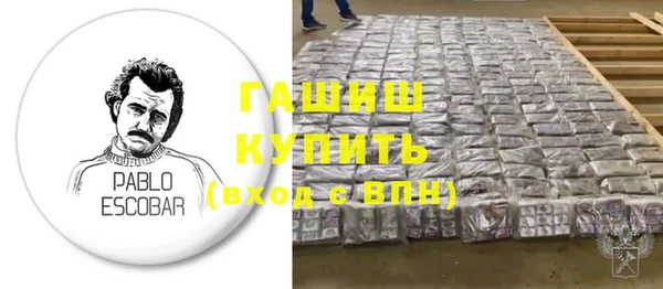 шишки Медвежьегорск