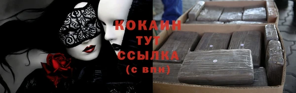 шишки Медвежьегорск