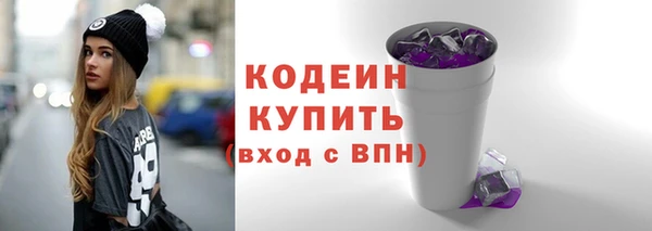 шишки Медвежьегорск