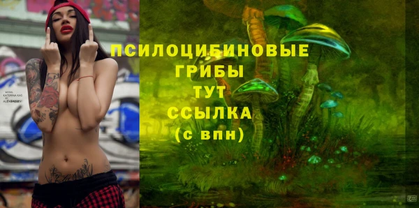 шишки Медвежьегорск